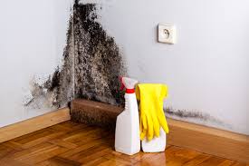 Best Real Estate Mold Inspection  in Westlake Village, CA